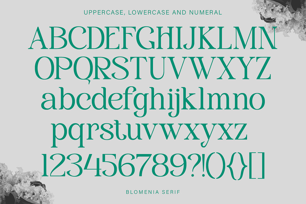 Blomenia, a Serif Font by Zaloma Studio (Photo 16 of 18)