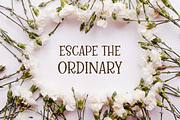 Kingsbury, a darling serif caps font, a Serif Font by Rachel White Art (Thumbnail 9 of 12)