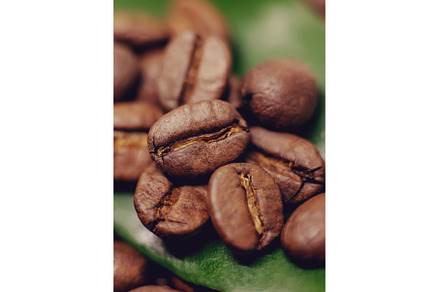 Coffee beans roasted close-up. Drink, a Food & Drink Photo by yanadjana