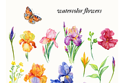 Iris watercolor set, a Decorative Illustration by MitrushovaArt (Thumbnail 12 of 13)