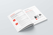 White Paper 42 Pages, a Brochure Template by obayes (Thumbnail 11 of 28)