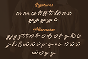 Almonia Blonde – Beautiful Script, a Script Font by Sronstudio (Thumbnail 17 of 17)