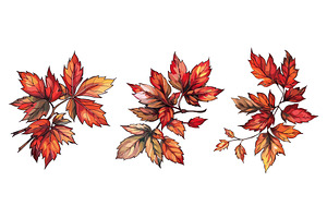 Autumn leaves branches. Fall leafs, an Illustration by Stock-Smart-Start