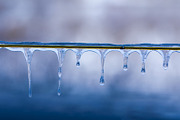 Close-up of clear icicles hanging from a wire against a soft blu, a Background Photo by Ales Munt (Thumbnail 2 of 2)