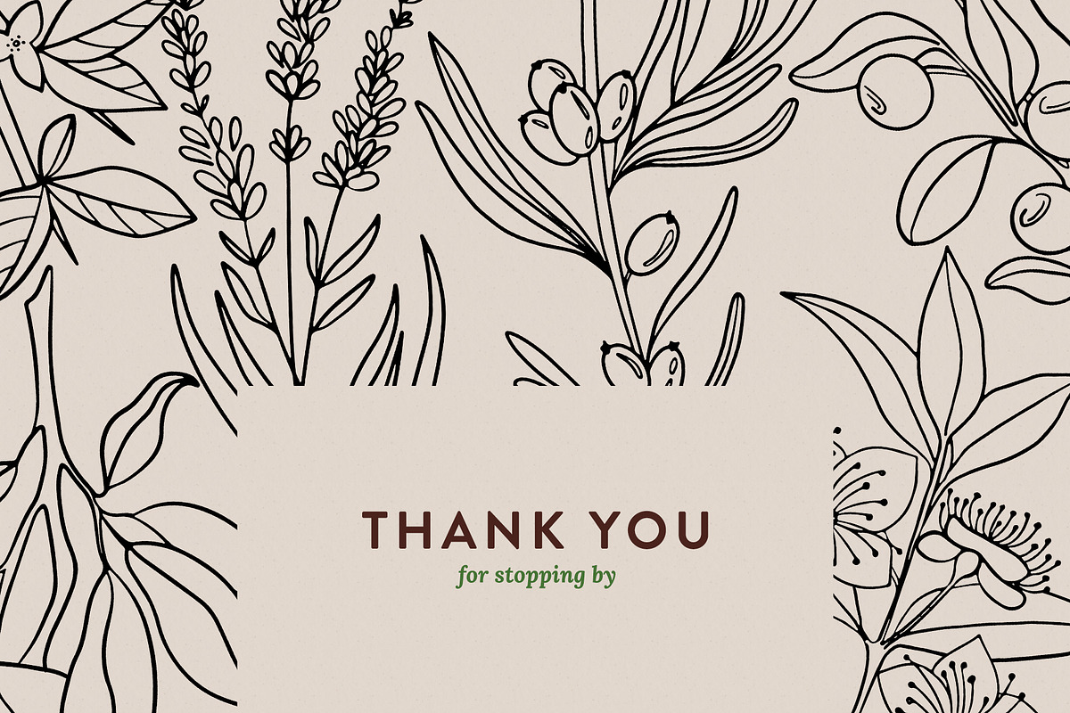 Skin Care Botanicals | 30 designs, a Healthcare Illustration by amber&ink (Photo 9 of 9)