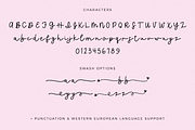 Queen Bee Script Font, a Script Font by Beck McCormick (Thumbnail 10 of 10)