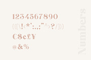 Brand Display Font, a Font by nurrontype (Thumbnail 14 of 18)