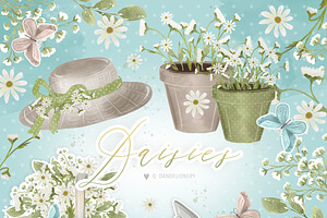 Daisies Design