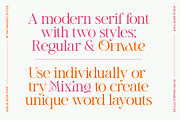 Adelia Mixable Serif, a Serif Font by Sam Parrett (Thumbnail 2 of 11)