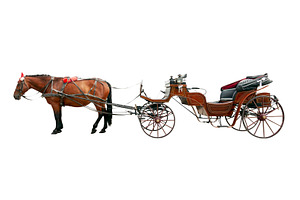 Horse and old carriage isolated, a Transportation Photo by BOOCYS
