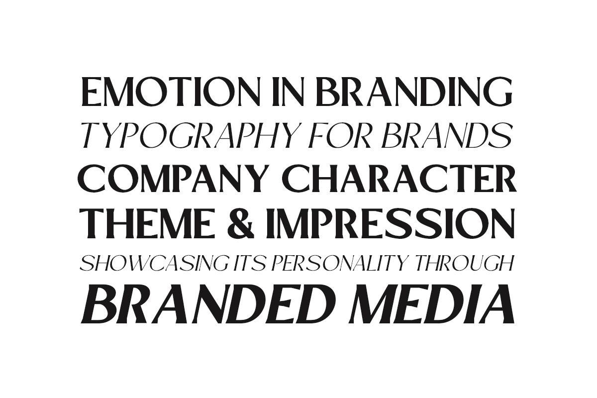Mizhon Flare | 12 Fonts, a Serif Font by Skinny Type (Photo 5 of 8)