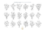 WILDFLOWER LINE ART, an Object Illustration by Kate Art (Thumbnail 7 of 22)