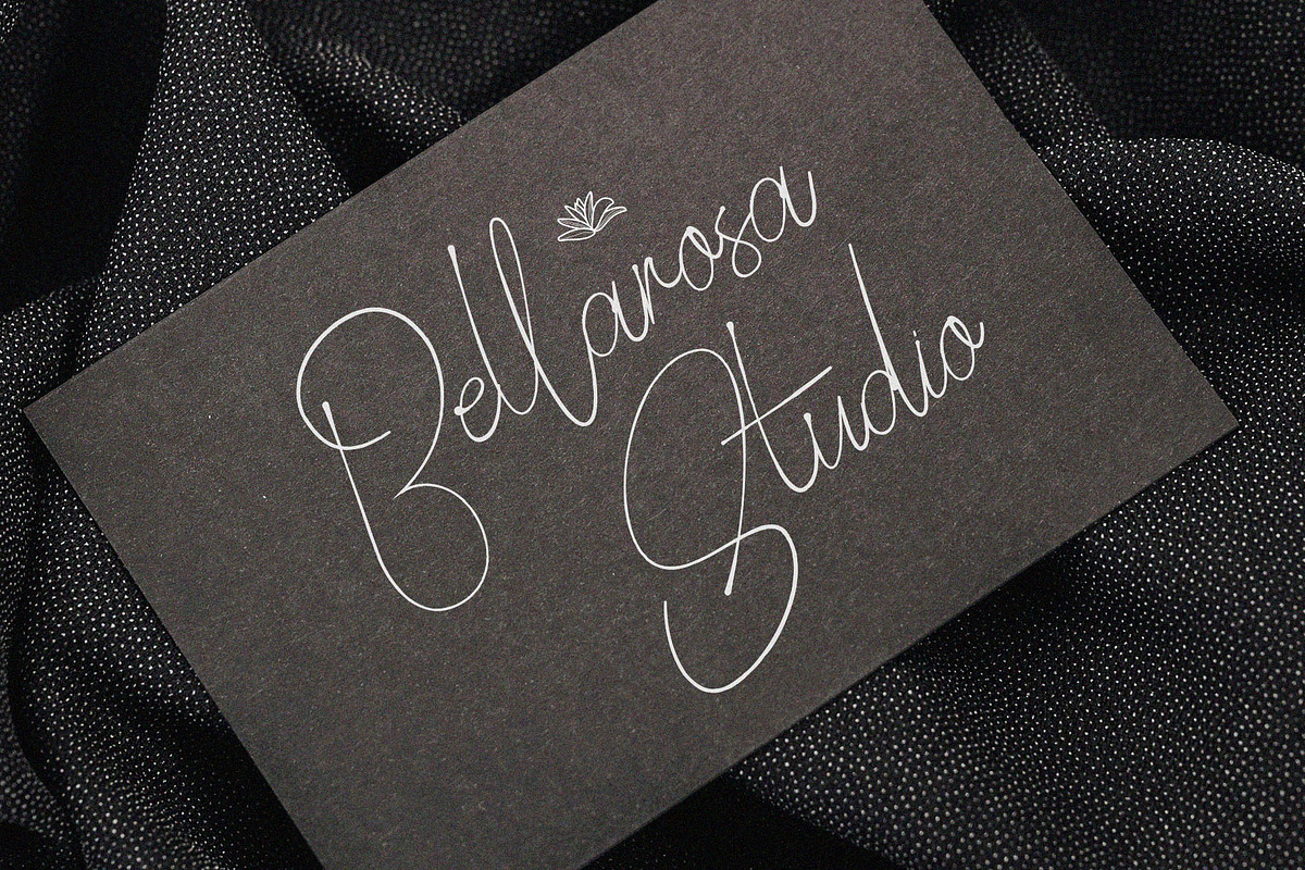Seillandry Modern Elegant Signature, a Handwritten Font by BrandSemut (Photo 4 of 10)