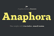 Anaphora - 22 Fonts, a Serif Font by Zetafonts (Thumbnail 1 of 11)
