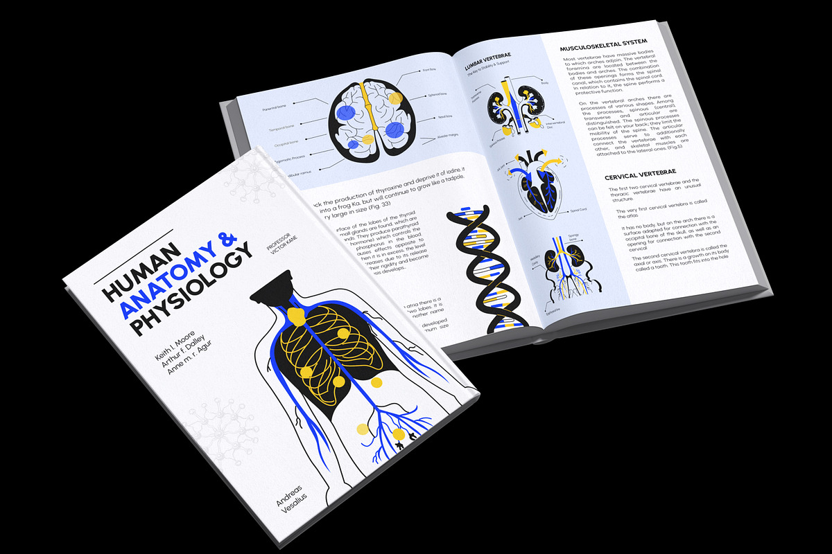 Biology Art Illustration, an Education Illustration by Vectors Market (Photo 4 of 9)