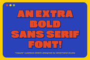 Napole Bold Sans, a Sans Serif Font by Letterhend Studio (Thumbnail 5 of 9)