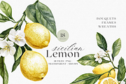 Sicilian Lemon - Watercolor clipart, a Decorative Illustration by ThaismotaCreativeCo (Thumbnail 1 of 9)