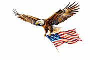 Flying Bald Eagle Watercolor PNG, an Animal Illustration by VetalStock (Thumbnail 2 of 3)