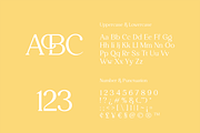 Daisy Tacky - Display Serif Font, a Serif Font by Artchitype Studio (Thumbnail 9 of 12)