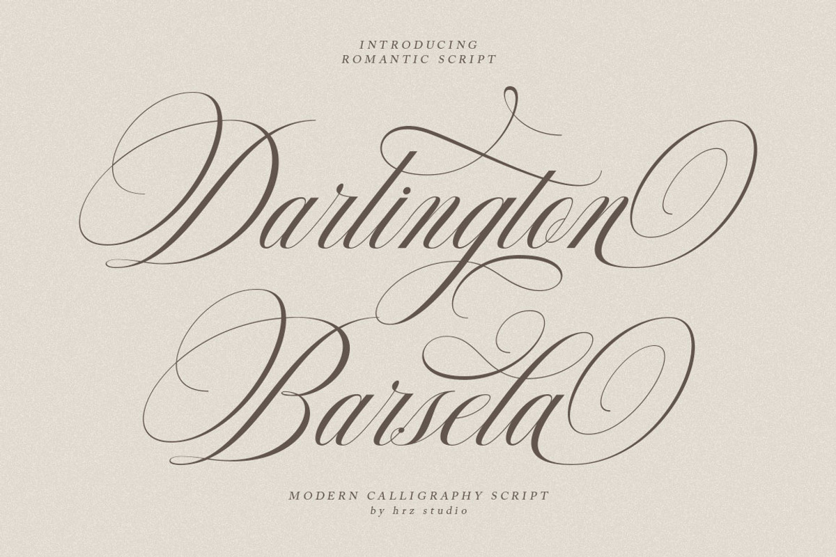 Delighton Script, a Script Font by Has_rizal (Photo 11 of 15)