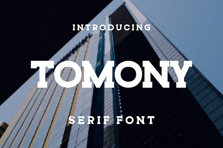 Tomony, a Serif Font by lelevien