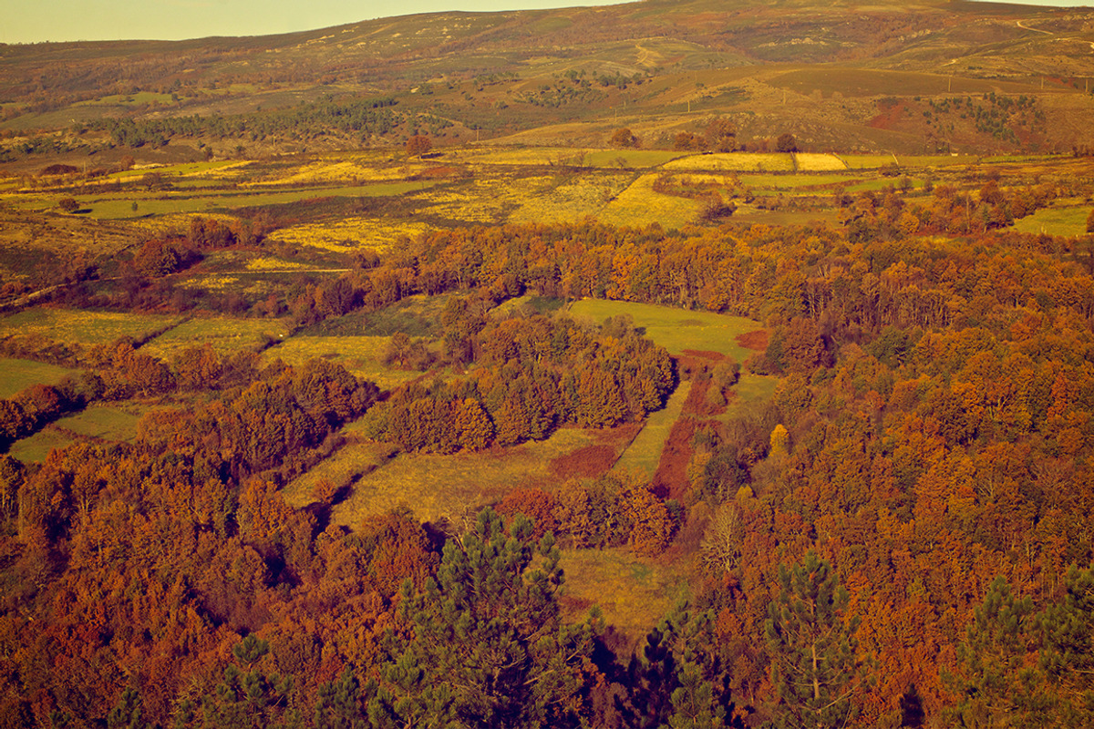 Autumn pack, a Templates & Theme by ApertureVintage (Photo 4 of 4)