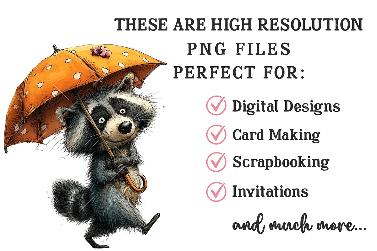 Quirky Valentine Raccoon Clipart, an Illustration by OK Design (Photo 6 of 6)