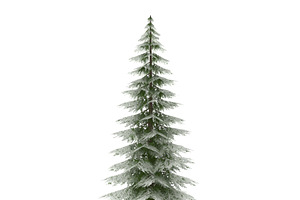 Canadian Spruce Tree Snow V1