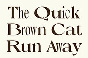 Briallen Mix, a Serif Font by Craft Supply Co. (Thumbnail 4 of 8)
