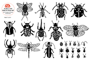 Floral and Insects Folk Art, a Pattern Graphic by Arie Clares (Thumbnail 6 of 11)