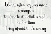 Boho Stylish, a Script Font by FreshTypeINK (Thumbnail 3 of 8)
