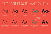 Cocosignum - 10 fonts, a Sans Serif Font by Zetafonts (Thumbnail 2 of 10)