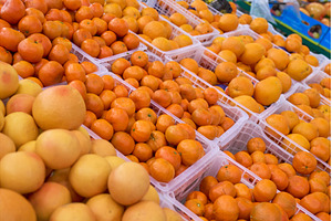Large display of oranges and, a Food & Drink Photo by darksoul72