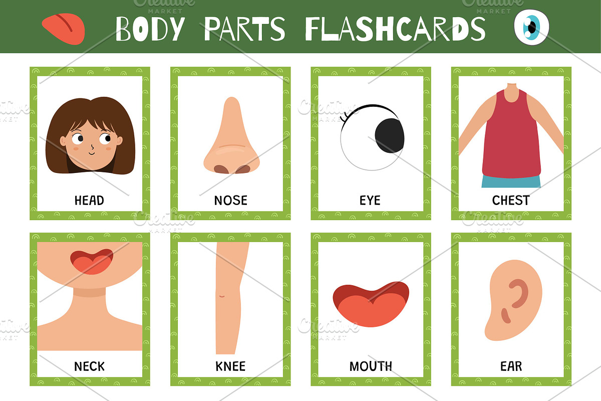 Flashcards for Kids Bundle: 570 in 1, an Education Illustration by Gulnara Sabirova (Photo 36 of 48)