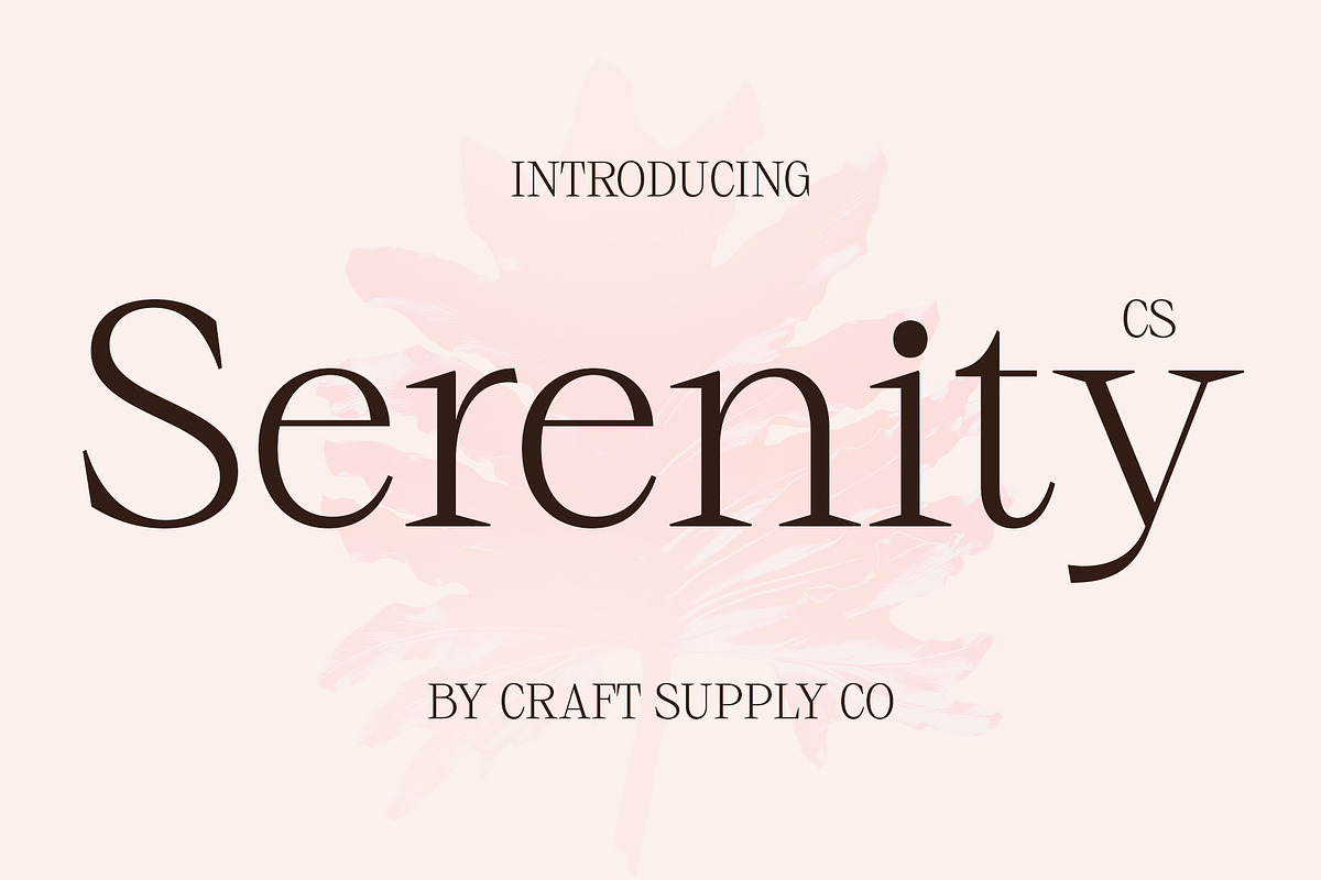 CS Serenity – Elegant Font, a Serif Font by Craft Supply Co. (Photo 1 of 8)