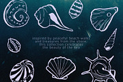 Seashells Hand drawn vector elements, a Seasonal Illustration by Lena Nikolaeva (Thumbnail 2 of 14)