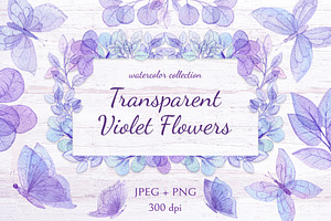 Transparent Violet Flowers