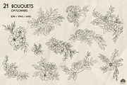 Botany Line Art Collection, a Decorative Illustration by Skliarova (Thumbnail 4 of 10)
