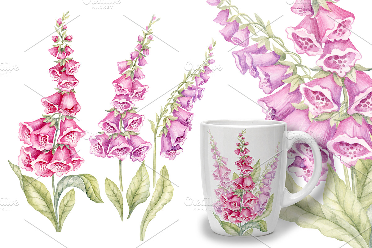 Wild flowers bundle, set Wildflowers, a Texture Illustration by MarinadeArt (Photo 4 of 8)