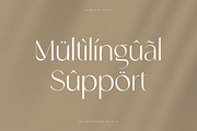 Ginger - Modern Stylish Font, a Sans Serif Font by Sensatype (Thumbnail 20 of 20)