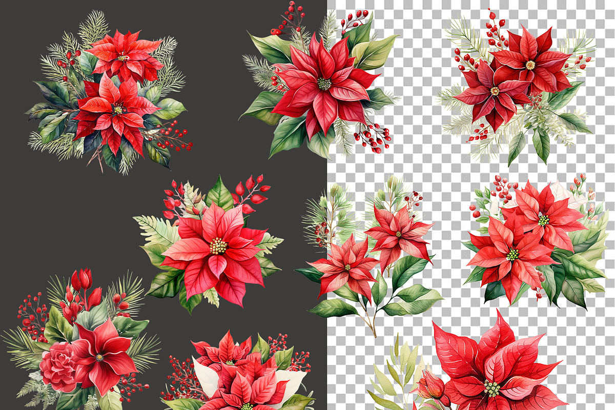 Christmas Poinsettia Bouquets, a Decorative Illustration by Vasmila (Photo 5 of 6)