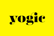 Fabrica - Decorative Serif, a Serif Font by Fenotype (Thumbnail 9 of 10)