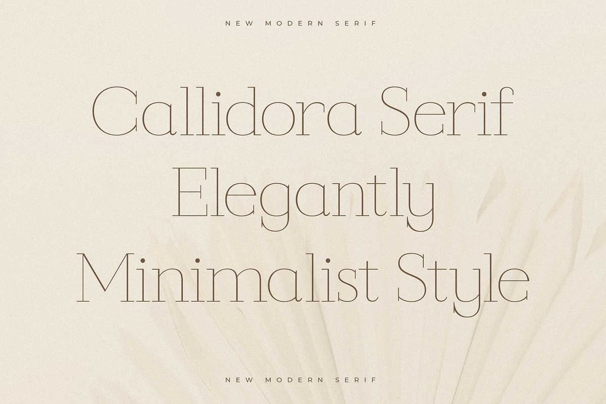 Callidora New Modern Serif, a Serif Font by Storytype Studio (Photo 2 of 15)