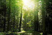 Only Visual Effects Bundle, an Action Add-On by ArtistMef (Thumbnail 7 of 45)