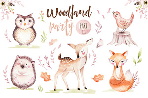 Woodland Party III