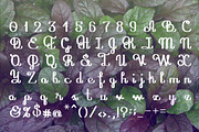 Mushroom font, a Script Font by Ekaterina Glazkova (Thumbnail 3 of 4)