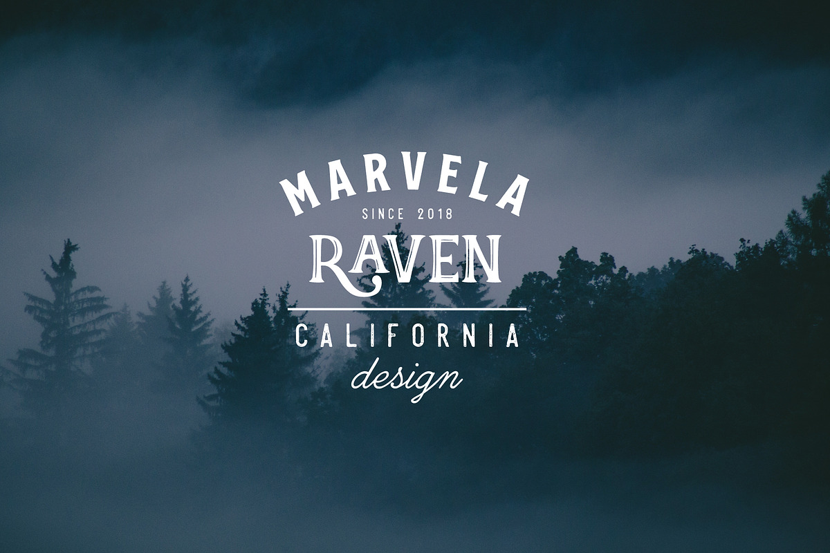 Vintage Badges and Logos Bundle V02, a Branding & Logo Template by XpertgraphicD (Photo 11 of 14)