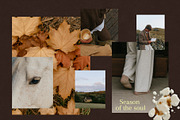 90+ Autumn Stock Photos, a Nature Photo by Trissa (Thumbnail 6 of 12)