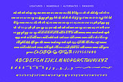 Dhaily Cluter - Bold Brush Font, a Script Font by Letterena Studios Script (Thumbnail 15 of 15)