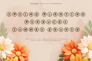 Spring Break - Decorative Font